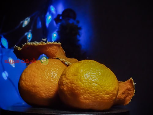 فروش پرتقال از طرف شرکت سبزینه