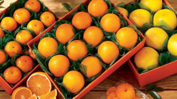 خرید و فروش پرتقال