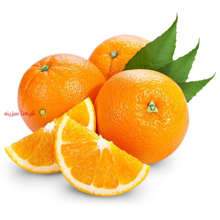 صادرات پرتقال سبزینه