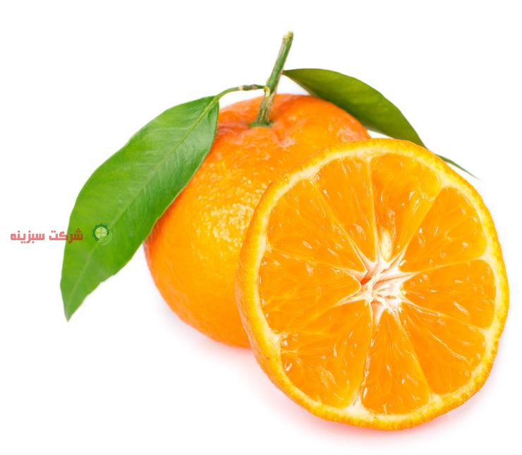 شرکت صادرات پرتقال سبزینه