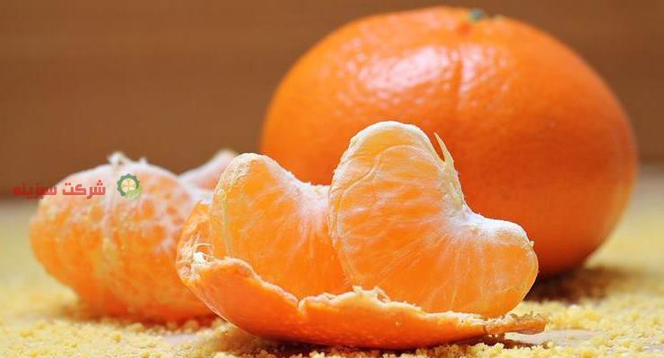 سورتینگ و جدا سازی انواع نارنگی