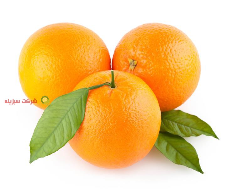 خرید با کیفیت ترین پرتقال آستارا