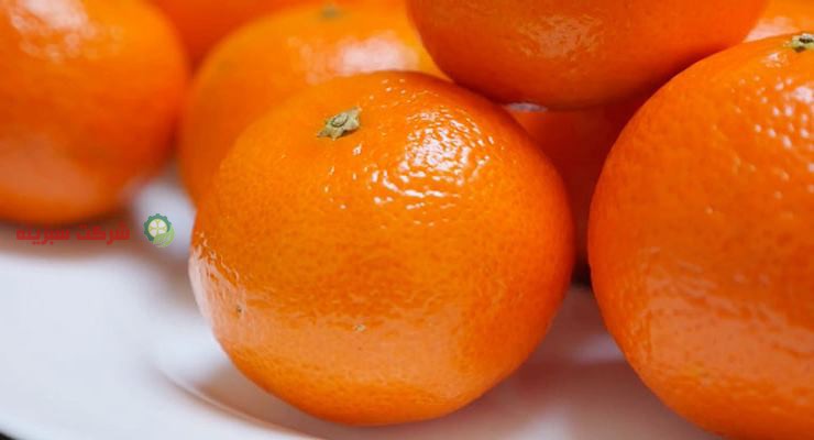 صادرات پرتقال به عمان