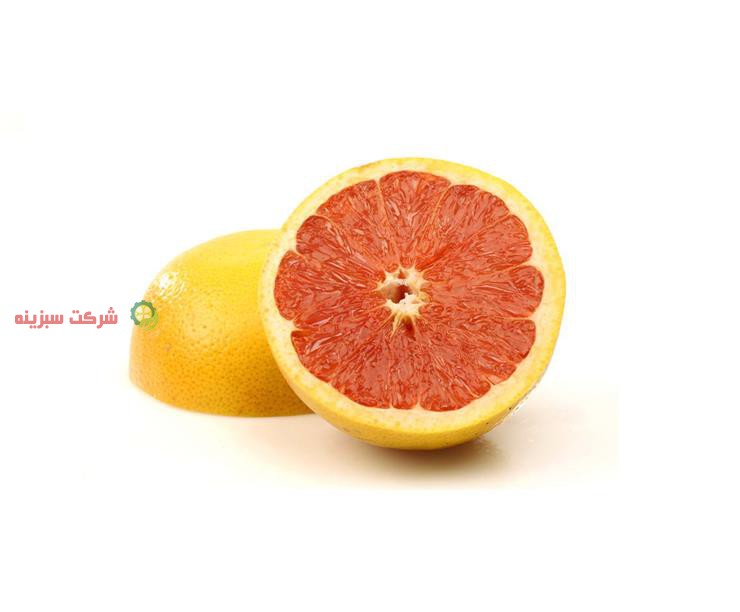 فروش پرتقال مازندران