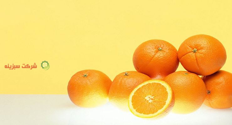 صادرات پرتقال والنسیا با بهترین شرایط