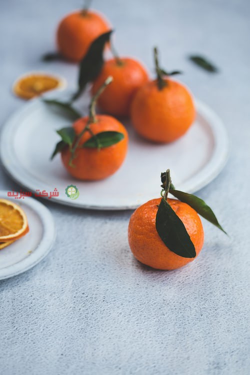 شرکت سبزینه فعال در فروش نارنگی سورت شده