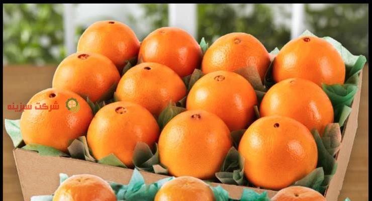 قیمت نارنگی در مازندران