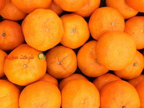 فروش پرتقال های با کیفیت