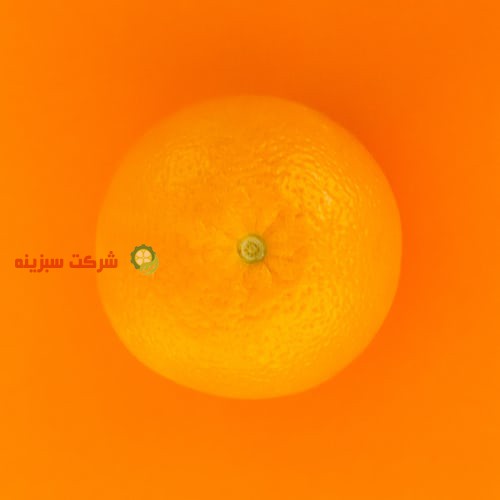فروش پرتقال با کیفیت