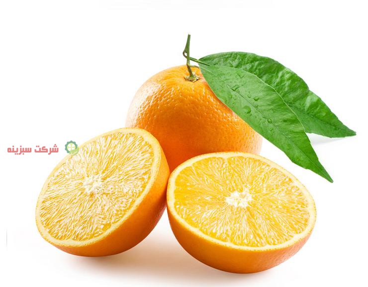 اعلام قیمت پرتقال