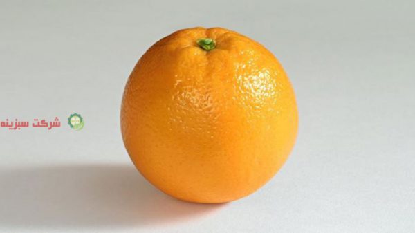 قیمت پرتقال امسال