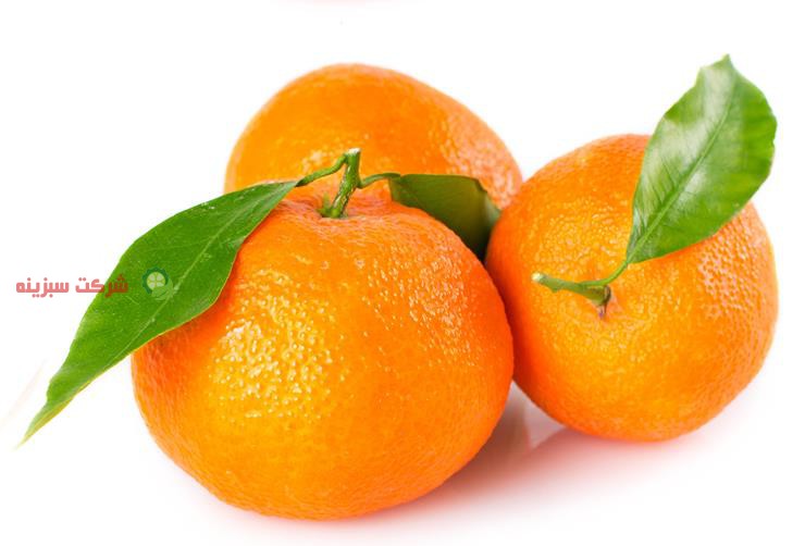 خرید پرتقال با کیفیت در تهران