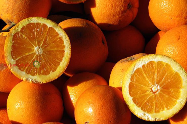 تولید پرتقال تامسون