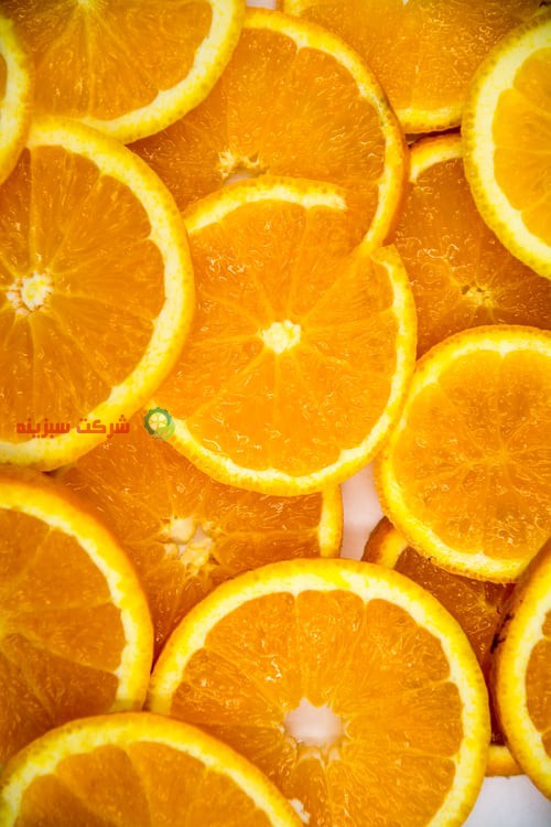 قیمت پرتقال تامسون به دلار