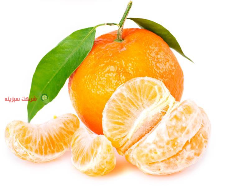 قیمت خرید پرتقال در بازار کشور