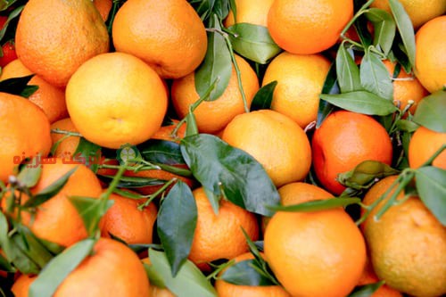 خرید پرتقال به صورت عمده و بسته بندی شده
