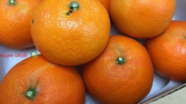 آخرین قیمت نارنگی