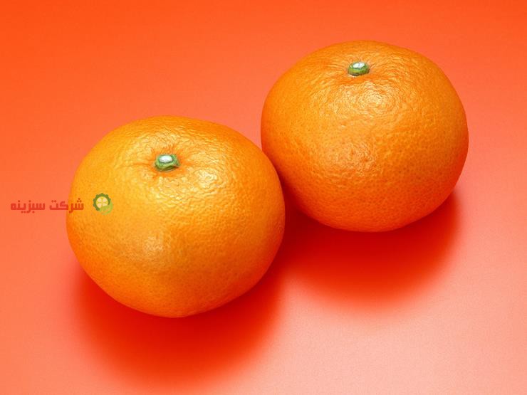 خصوصیات پرتقال شده در مازندران