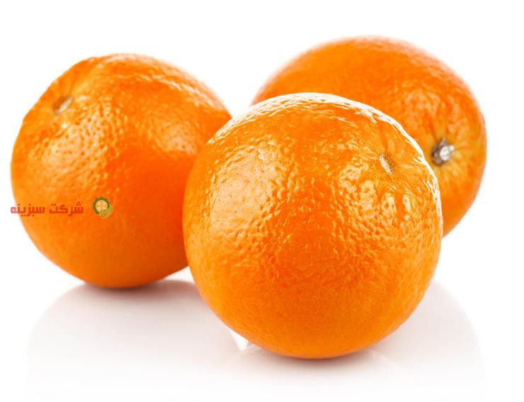 توزیع پرتقال درجه یک مازندران