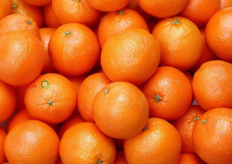 مرکز خرید عمده پرتقال درجه یک مازندران
