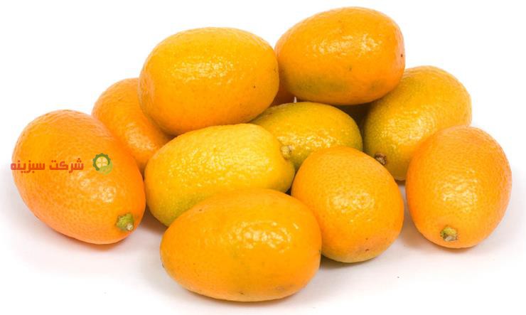 قیمت خرید پرتقال ماندارین