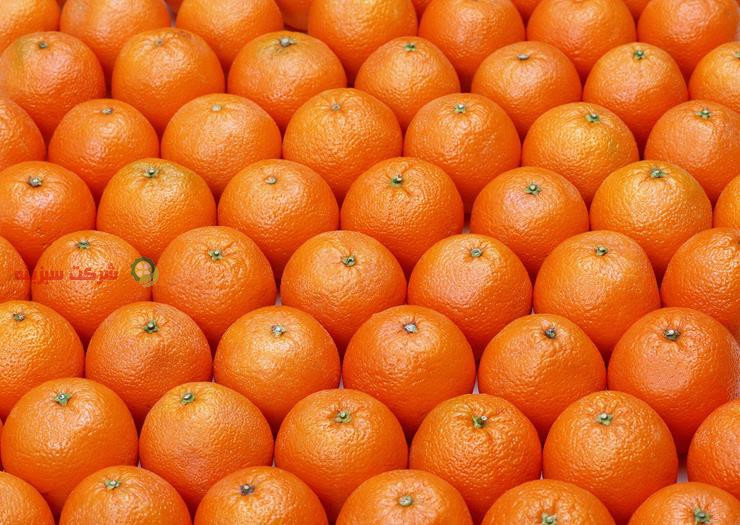 قیمت عمده فروش پرتقال در شمال