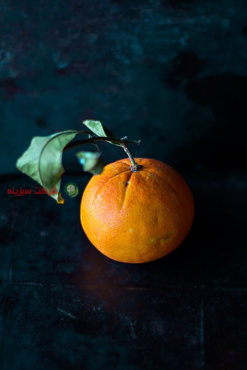 خرید انواع پرتقال با کیفیت از شمال