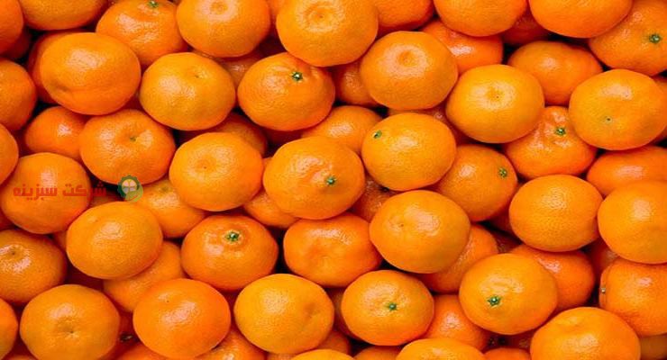 قیمت عمده پرتقال در شمال
