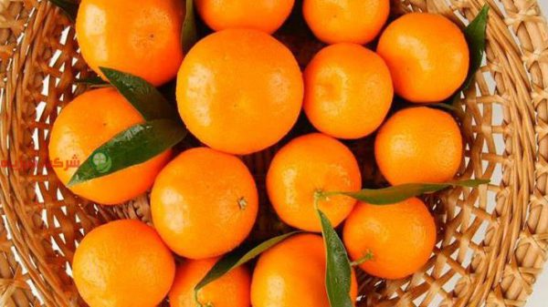 قیمت نارنگی بازار تهران
