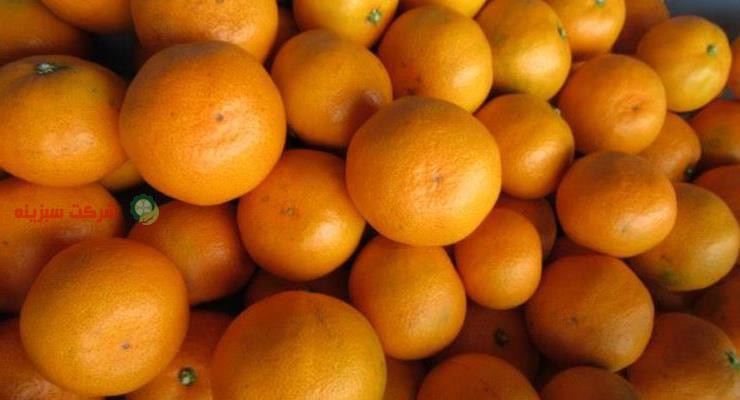 برداشت و فروش نارنگی با کیفیت در بازار