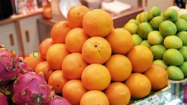 قیمت پرتقال رامسر