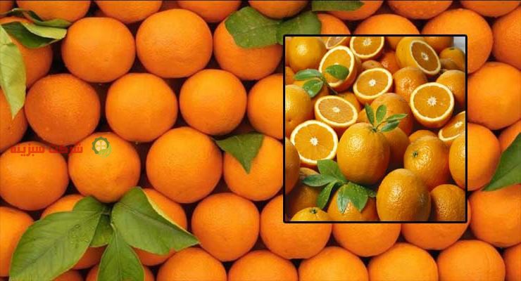 پرتقال بازرگانی سورت شده