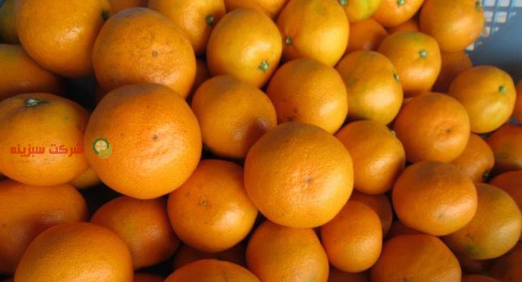 صادرات نارنگی درجه یک