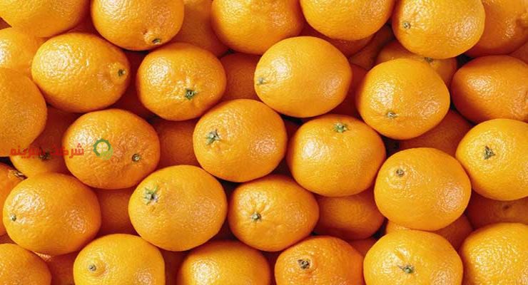خرید اینترنتی پرتقال صادراتی شمال
