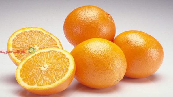 فروش پرتقال رامسر