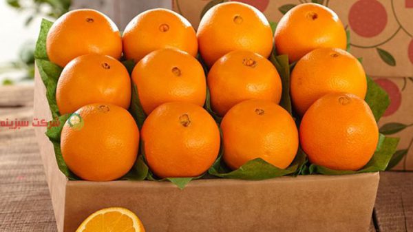 قیمت پرتقال در میدان بار