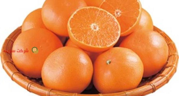 قیمت عمده نارنگی مرغوب در بازار