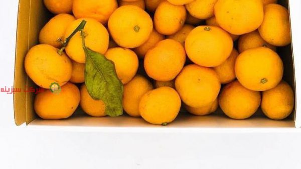 قیمت نارنگی در بازار ساری
