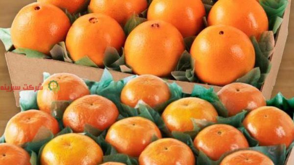 قیمت نارنگی پیش رس