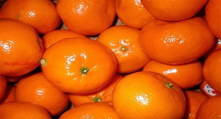 انواع پرتقال در بازار اصفهان