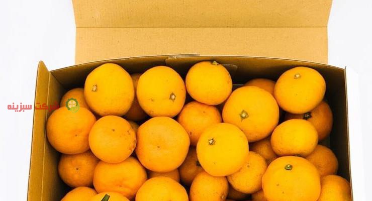 انواع نارنگی صادراتی