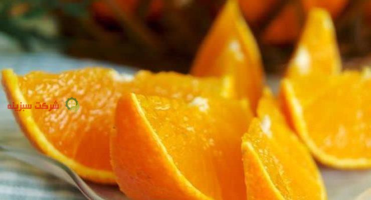 صادرات نارنگی به عراق