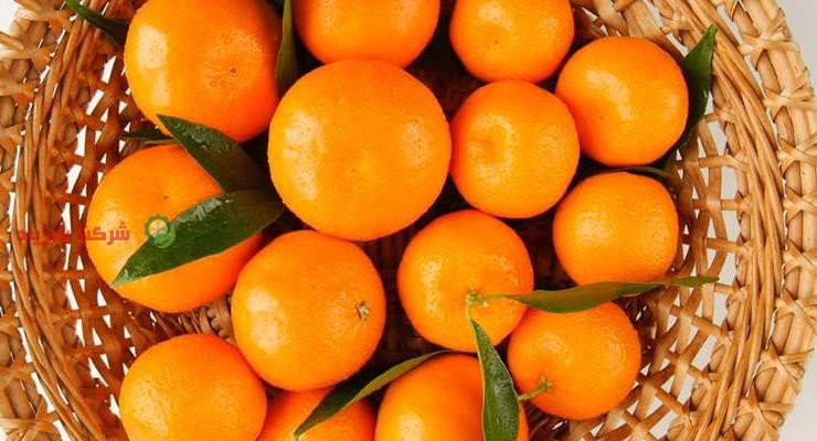 مشکلات صادرات نارنگی به عراق