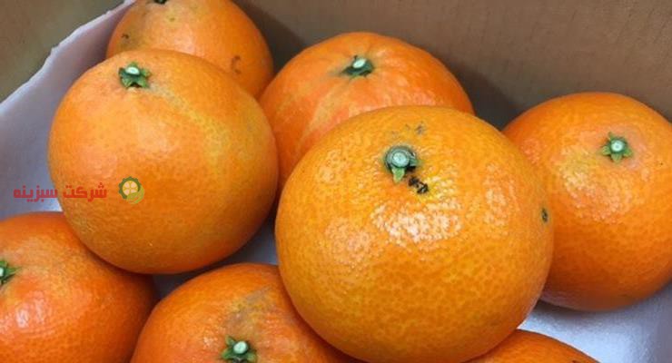 صادرات نارنگی ساری درجه یک