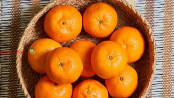 قیمت انواع نارنگی در ایران