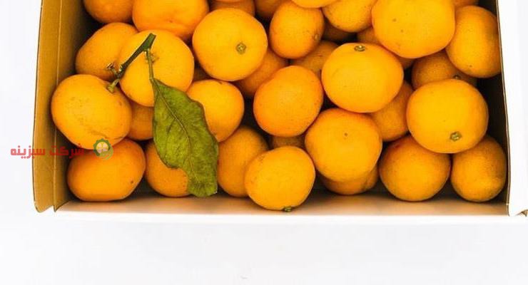 قیمت نارنگی ساری