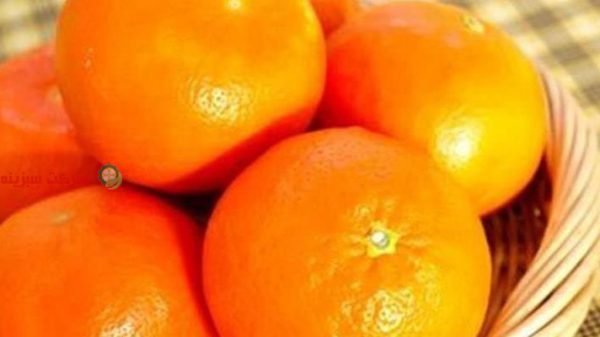 قیمت هر کیلو نارنگی