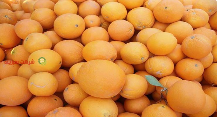 قیمت پرتقال جهرم
