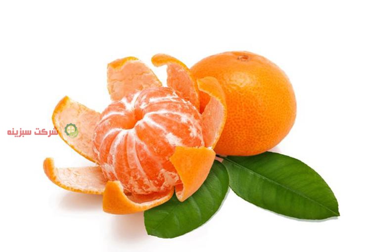عوامل تعیین کننده قیمت نارنگی