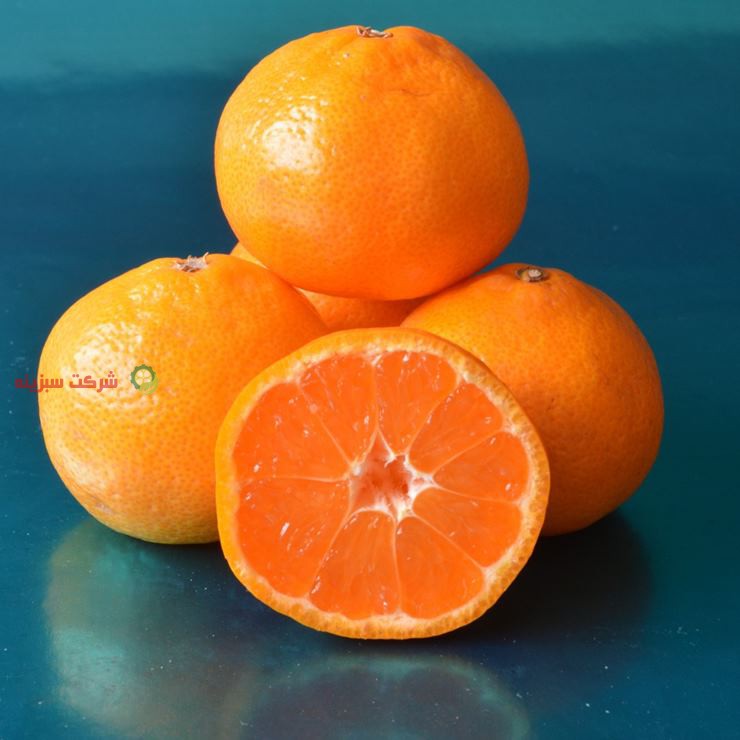 باغ های تولید نارنگی با کیفیت در کشور